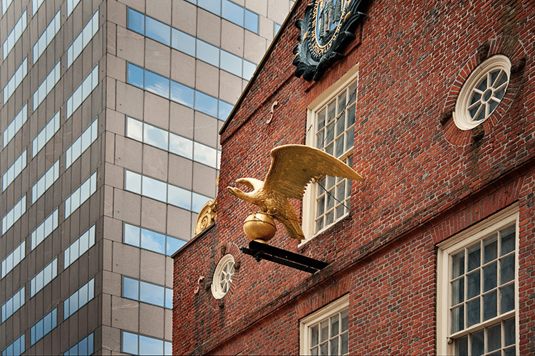 Eagles as a Symbol of Freedom