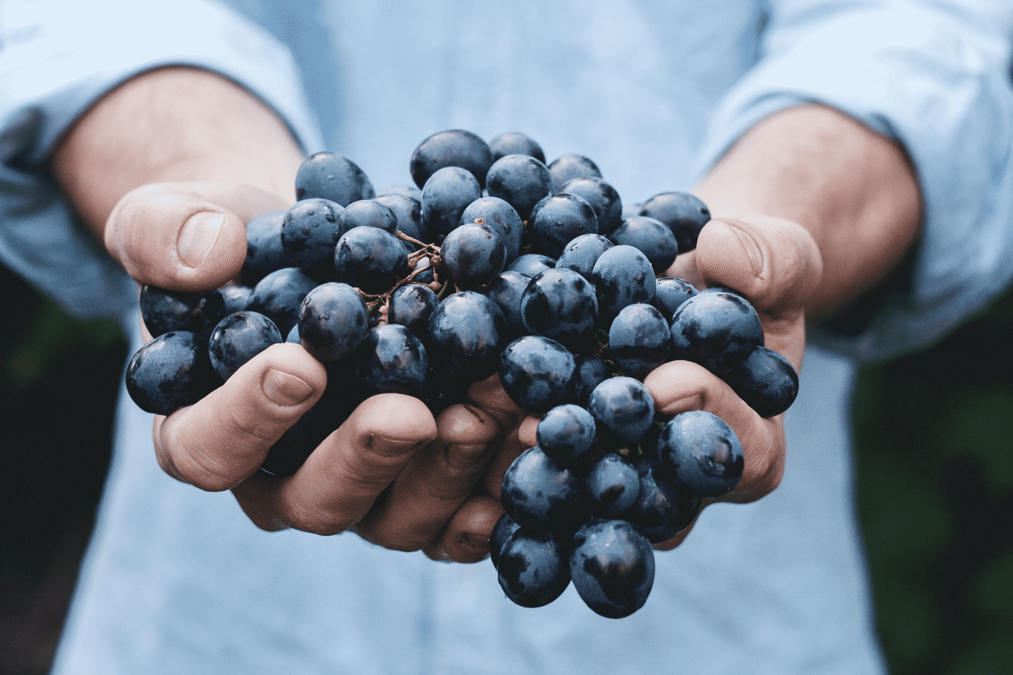 handful of grapes