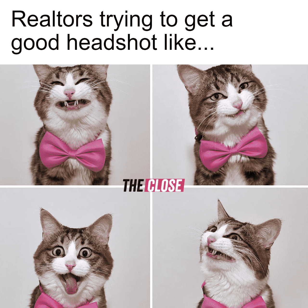 Headshots are never good enough Meme